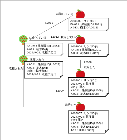 図表4:樹木とリンゴのリンク群